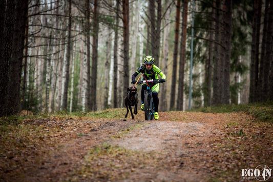 Kisaraportti koirapyöräilyn MM-kilpailuista 2019