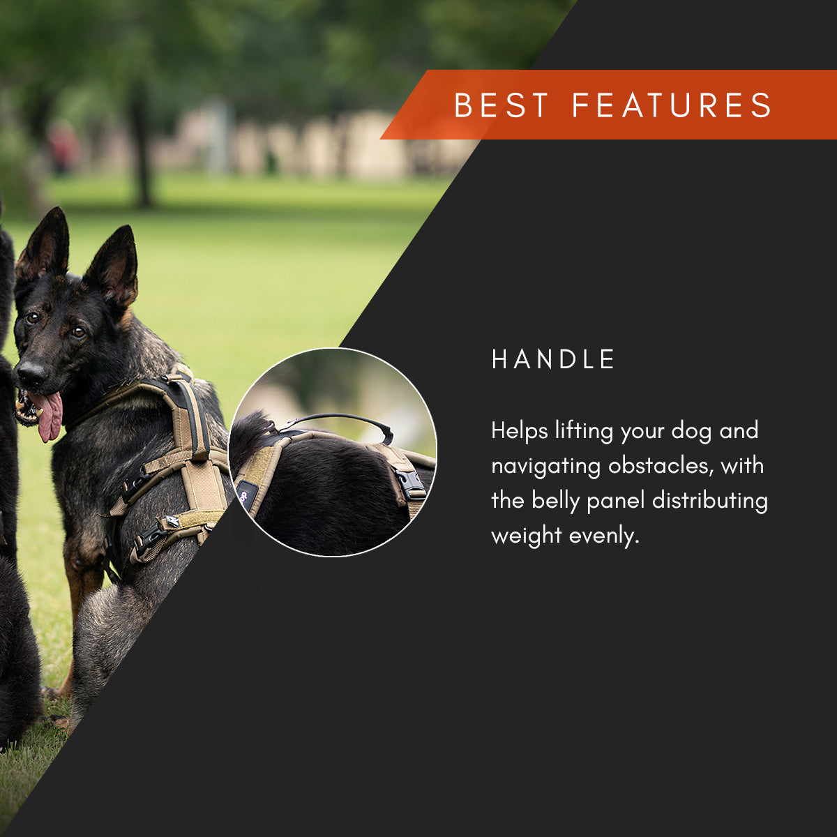 Non-stop dogwear Line Harness Long WD OUTLET