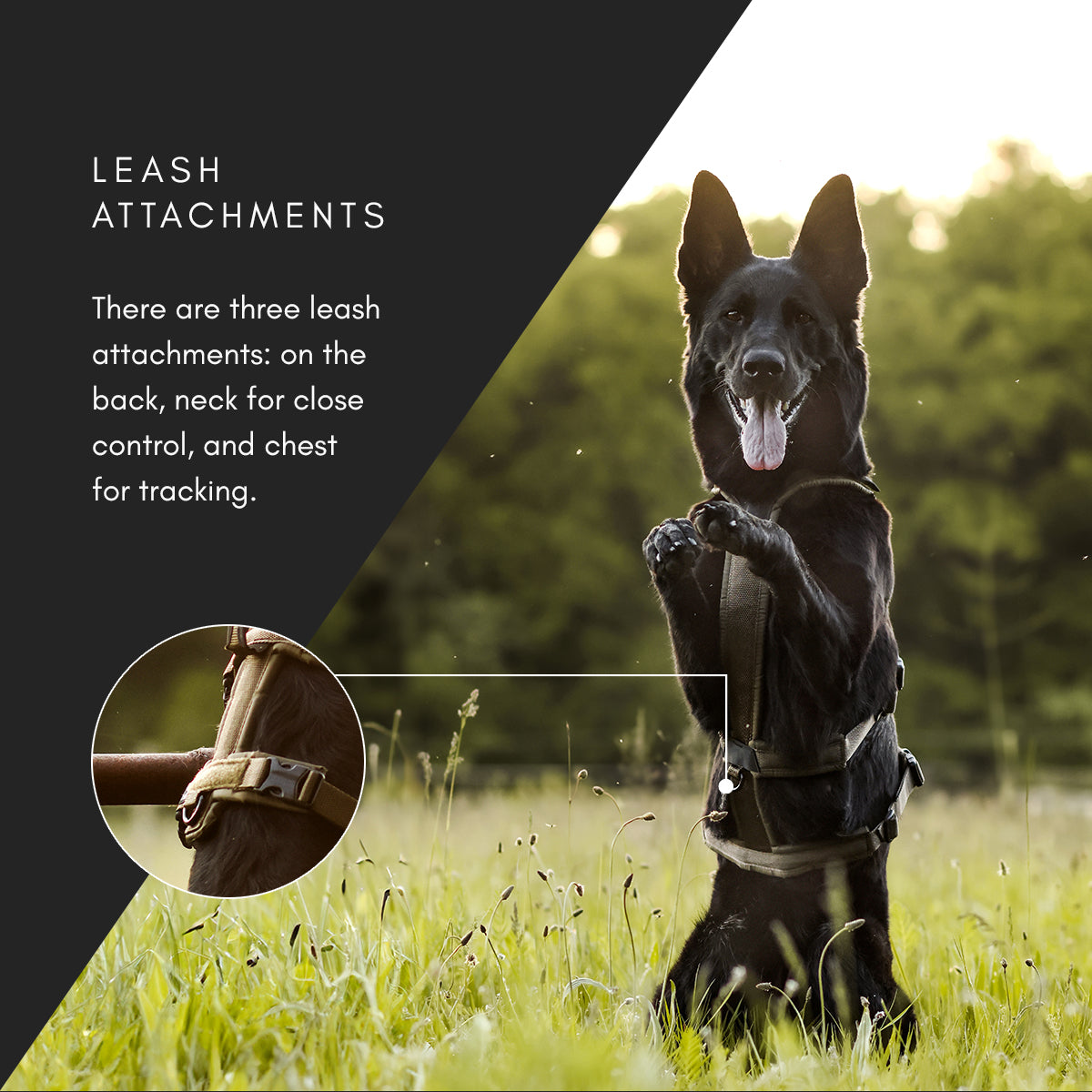 Non-stop dogwear Line Harness Long WD OUTLET