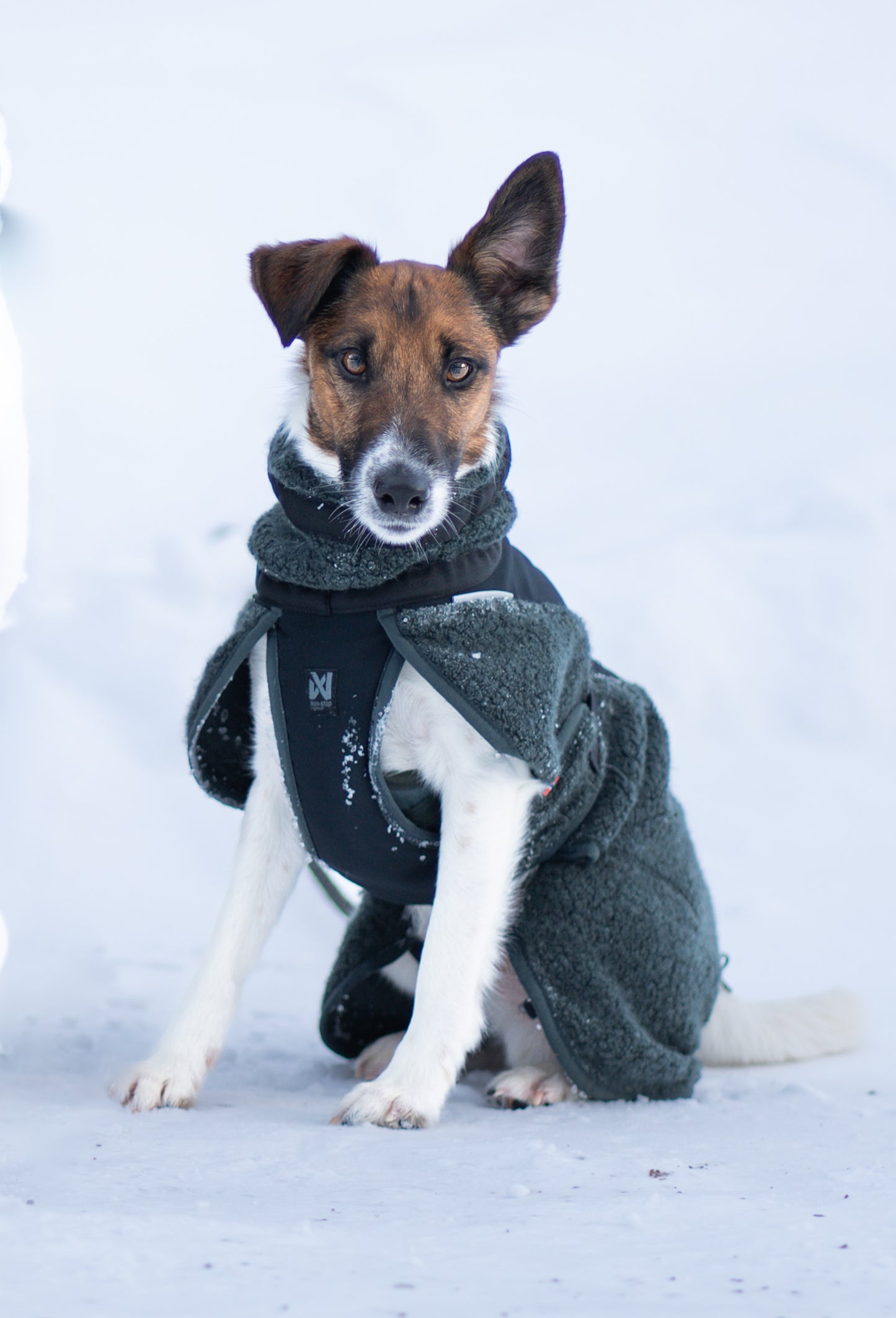 Non-stop dogwear Wool Dog Jacket