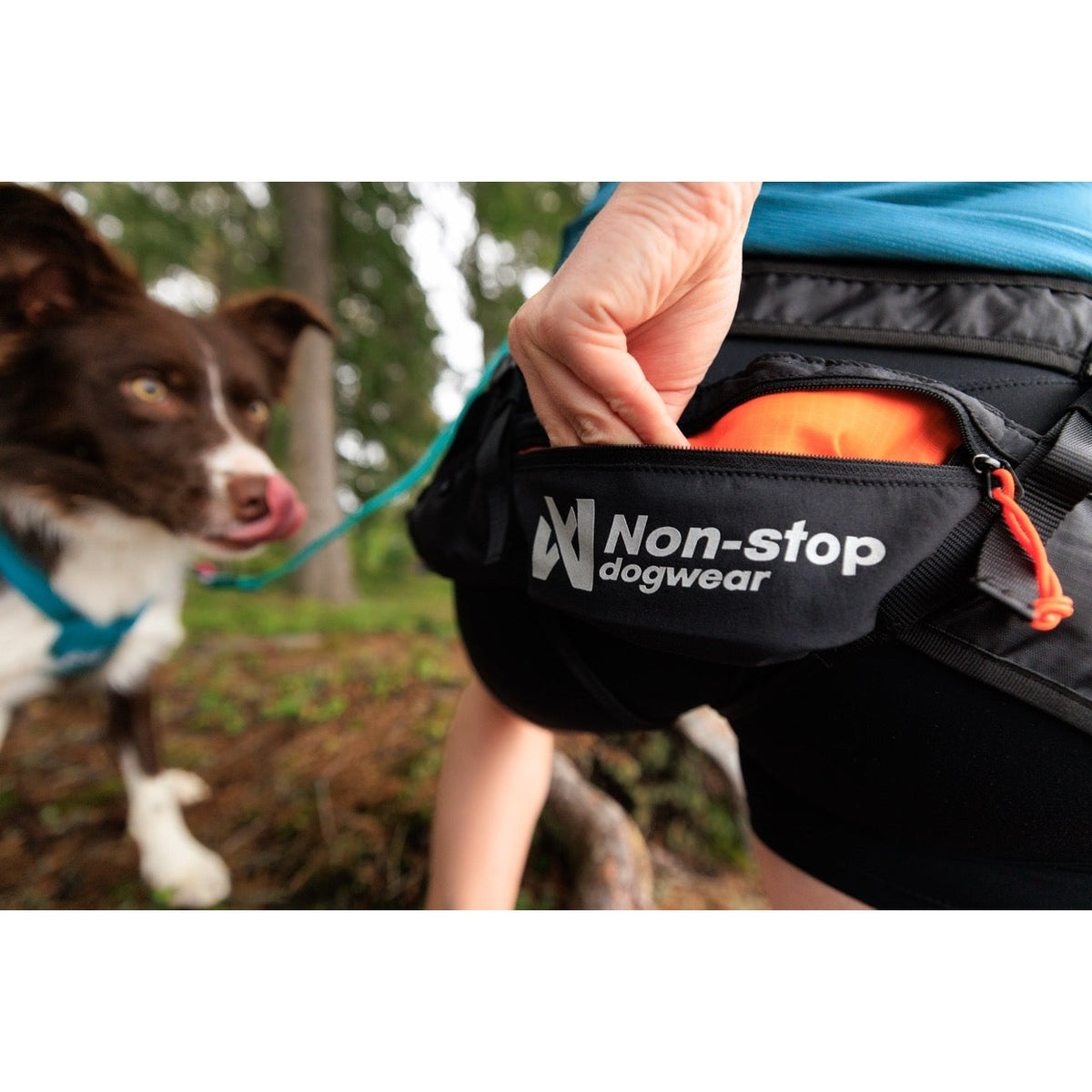 Non-stop dogwear CaniX belt 3.0