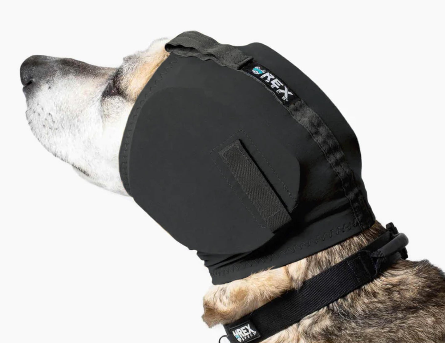 Rex Specs Ear Pro