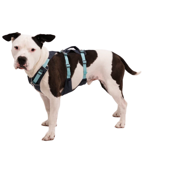Ruffwear Flagline Harness