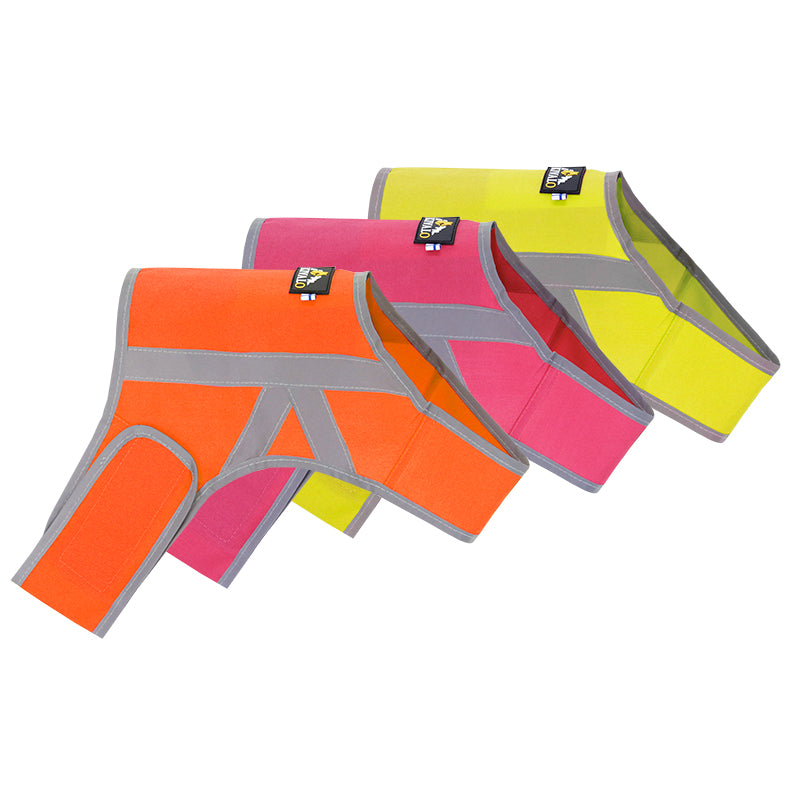 Kivalo Kaamos reflective dog vest