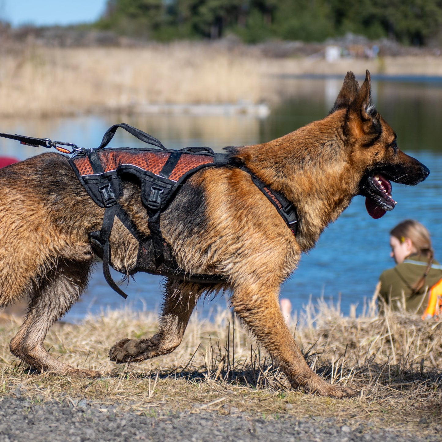 Non-stop dogwear Rock Harness Long