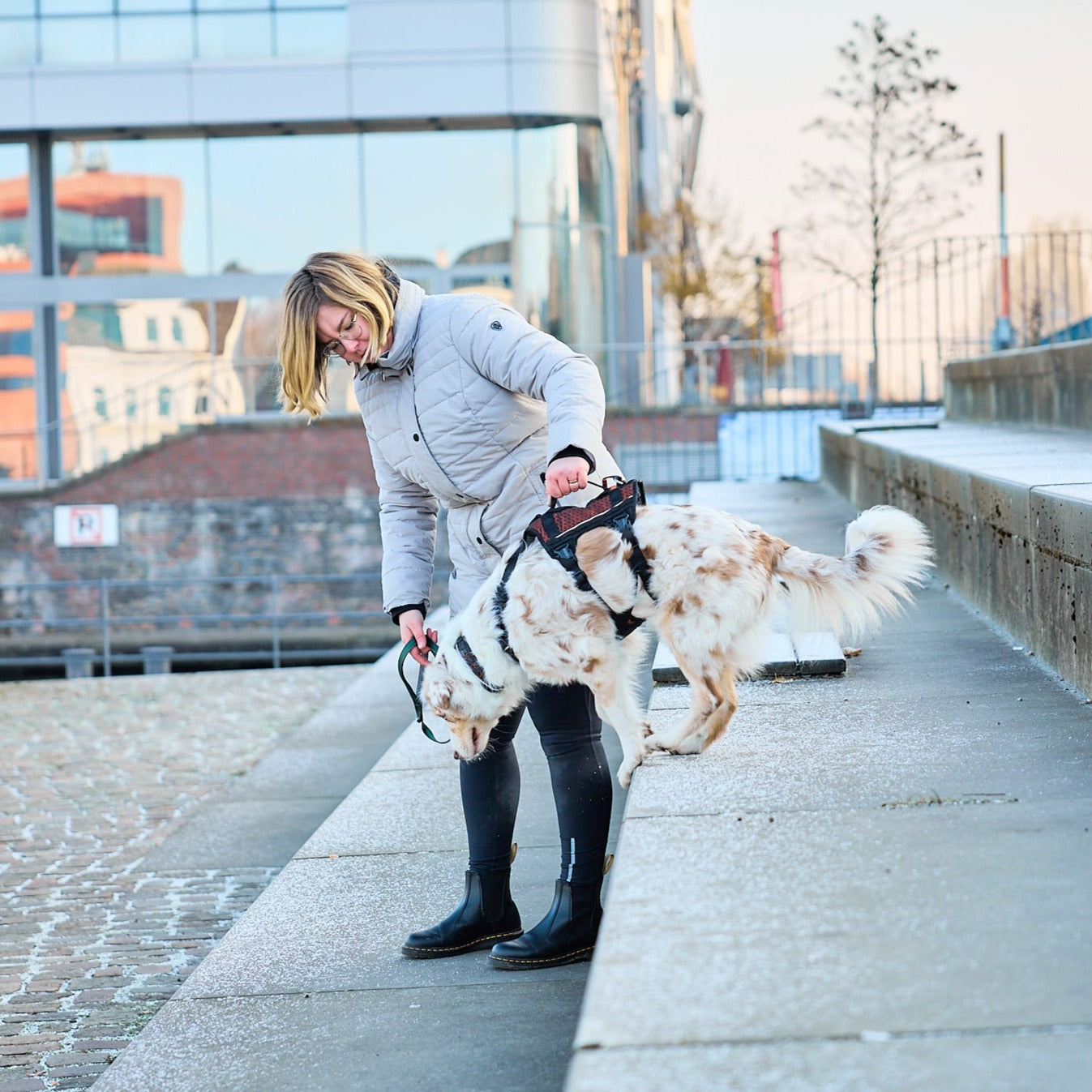 Non-stop dogwear Rock Harness Long