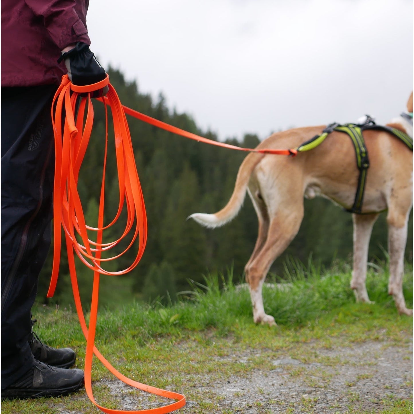 Axaeco BioThane® Tracking Lead OUTLET