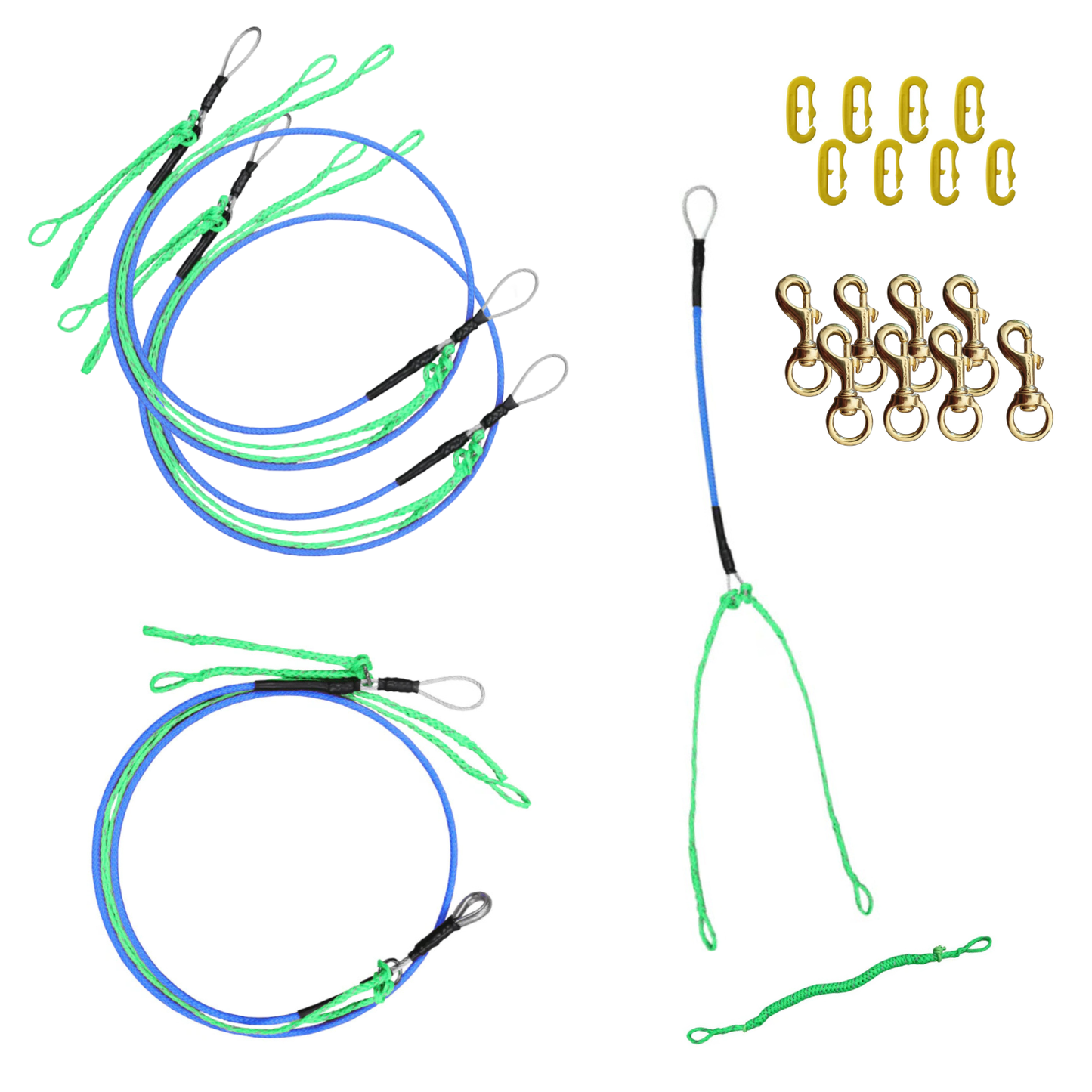 Axaeco Wire Line 8 Dog Set