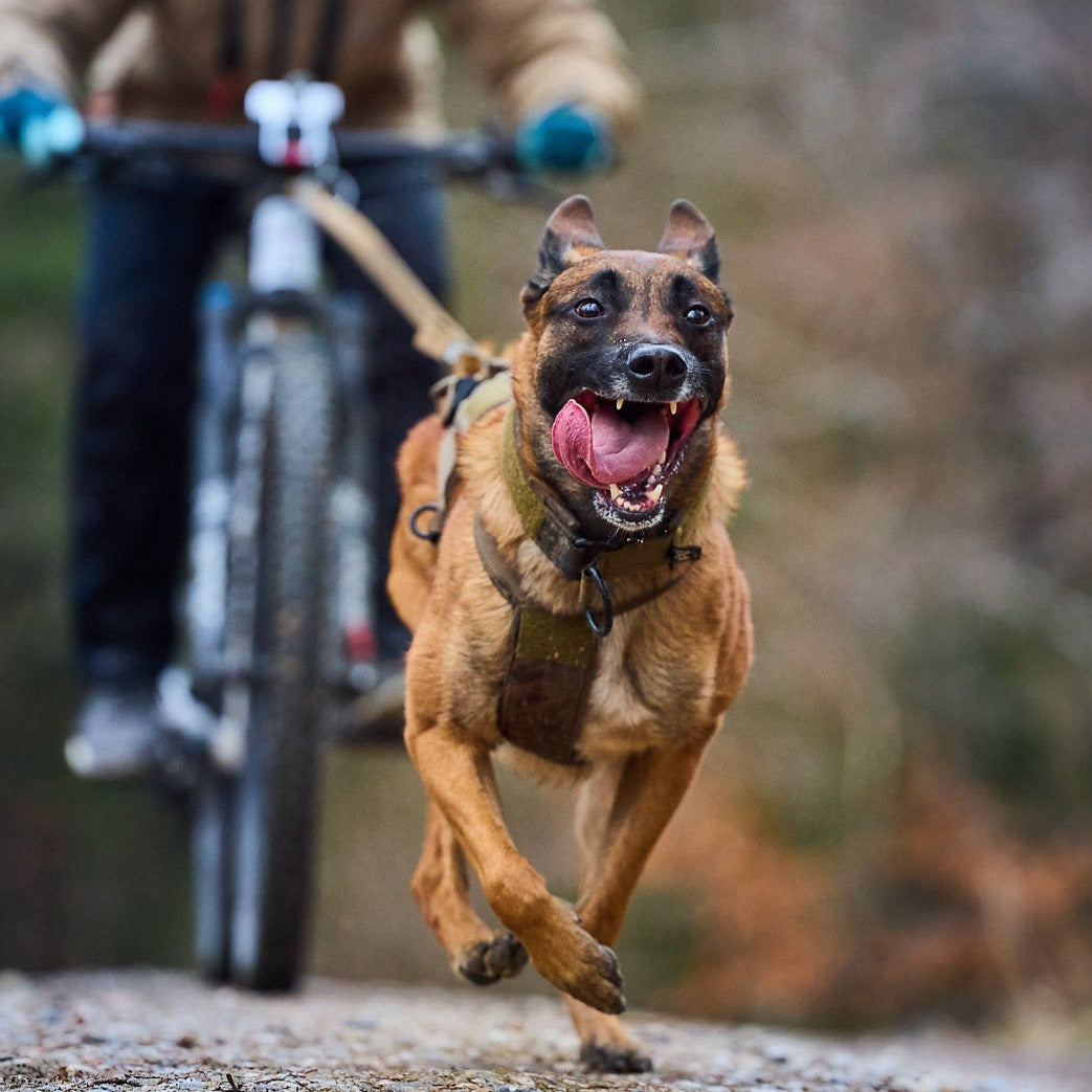 Non-stop dogwear Freemotion Harness WD