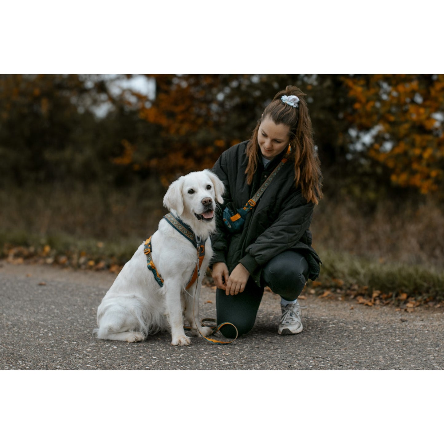 Non-stop dogwear Rachel Pohl Teal Bundle