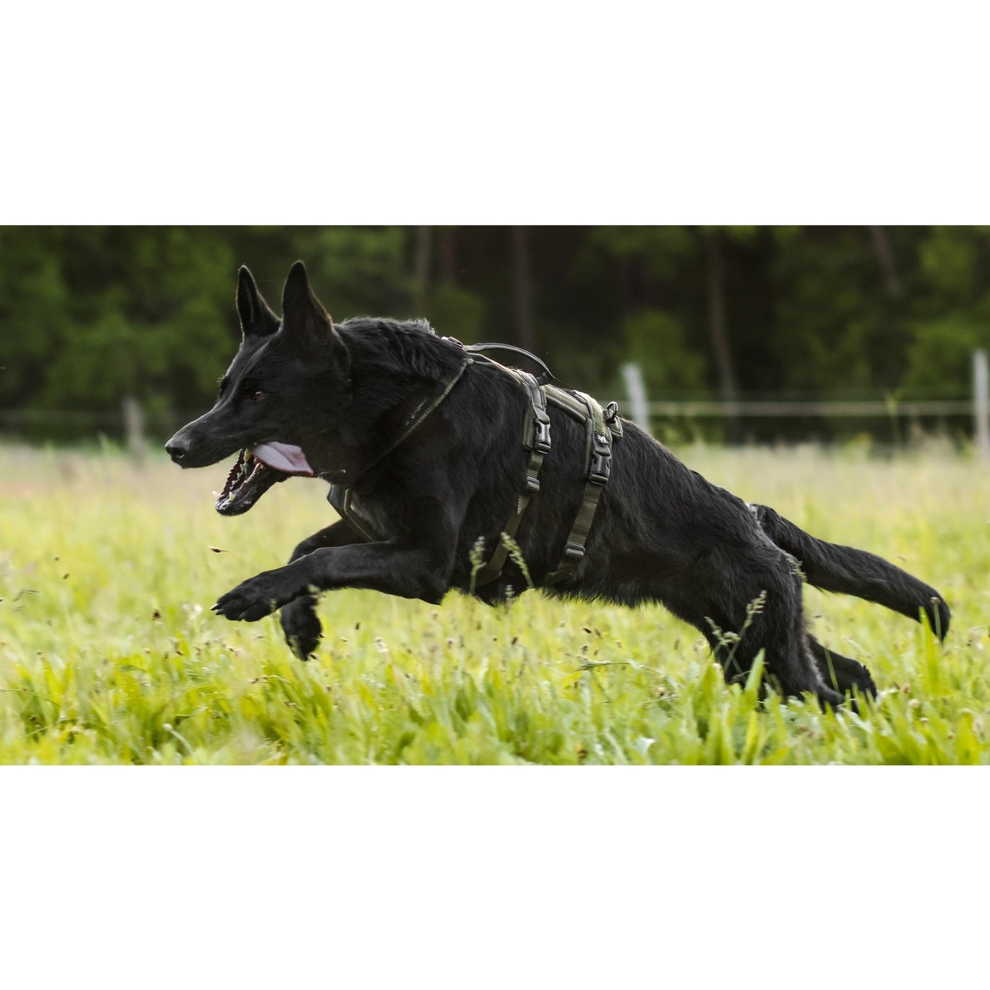 Non-stop dogwear Line Harness Long WD OUTLET
