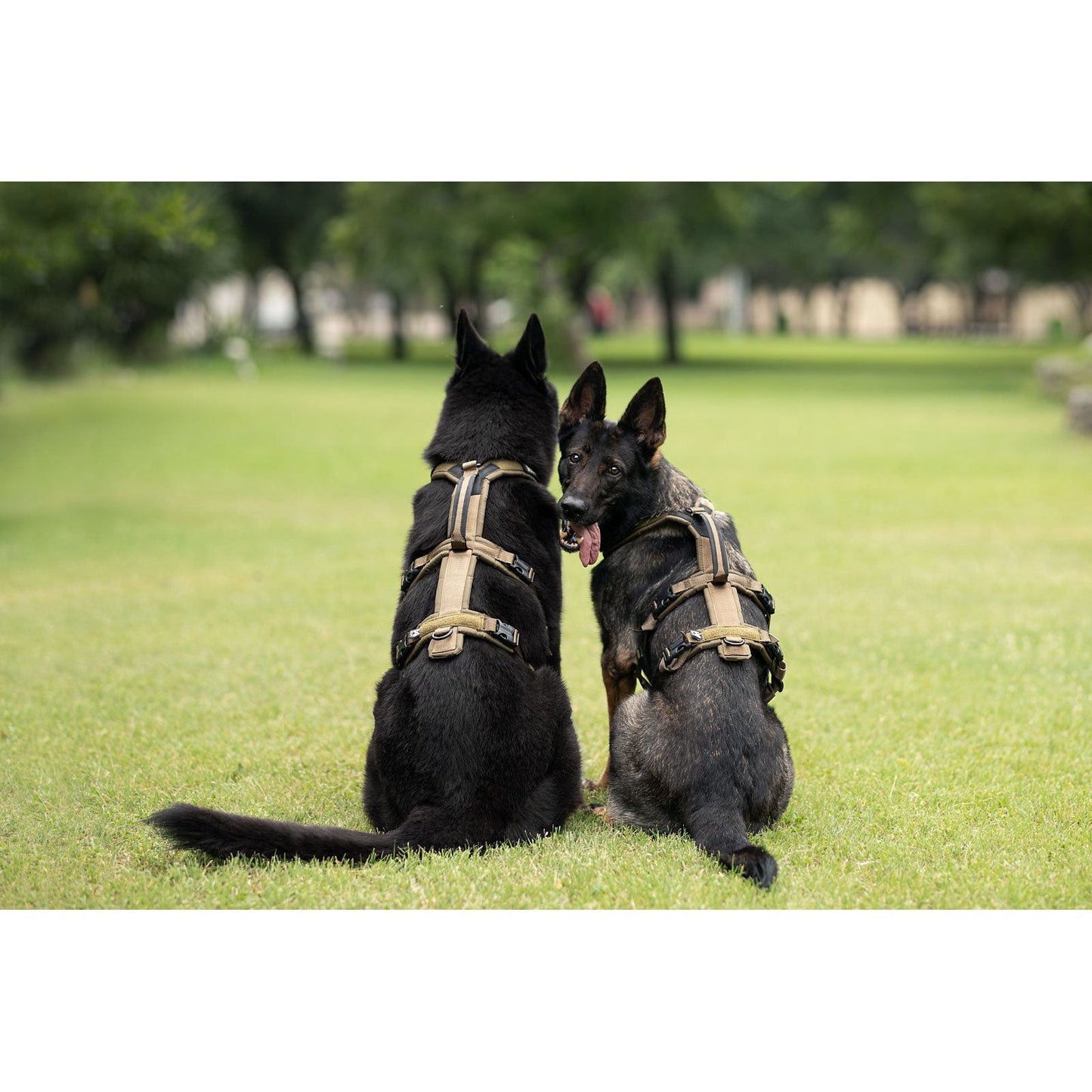 Non-stop dogwear Line Harness Long WD OUTLET