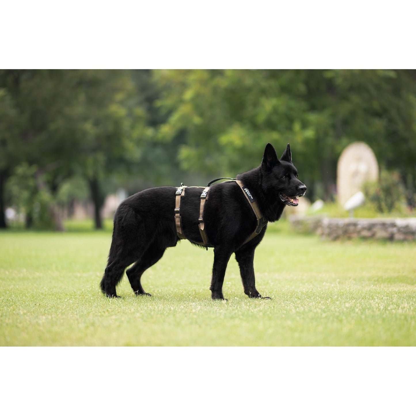 Non-stop dogwear Line Harness Long WD OUTLET
