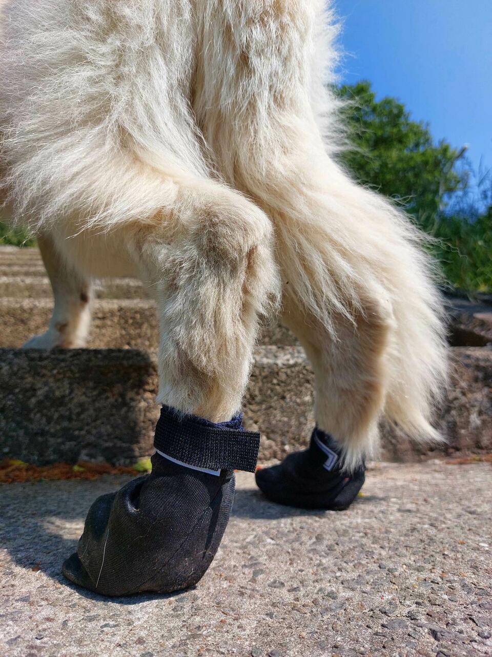 Lumac Sledding Armour Bootie, 4 kpl