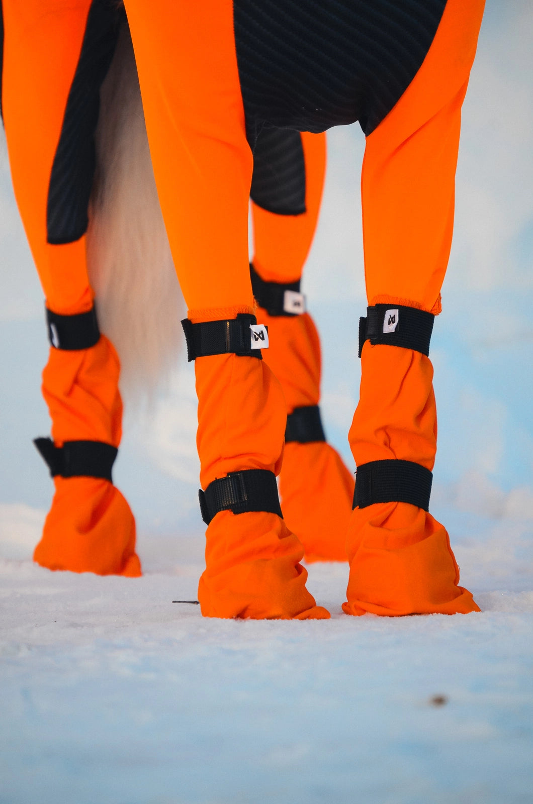 Non-stop dogwear Contact Bootie High