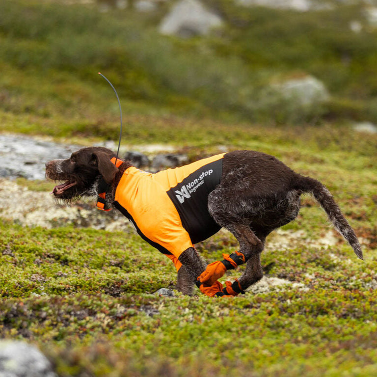 Non-stop dogwear Protector Half Suit