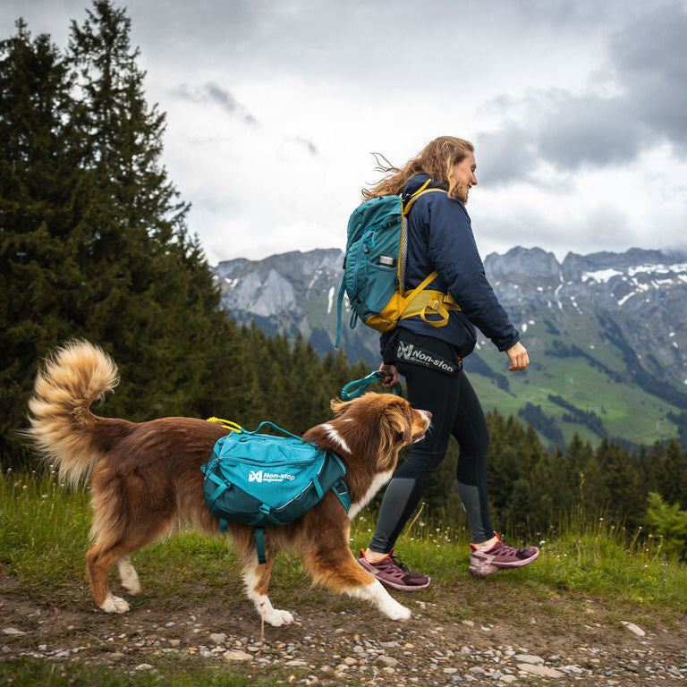 Non-stop dogwear Trail Quest Dog Backpack