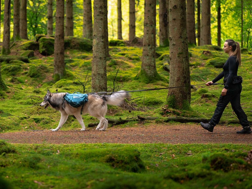 Non-stop dogwear Trail Quest Dog Backpack