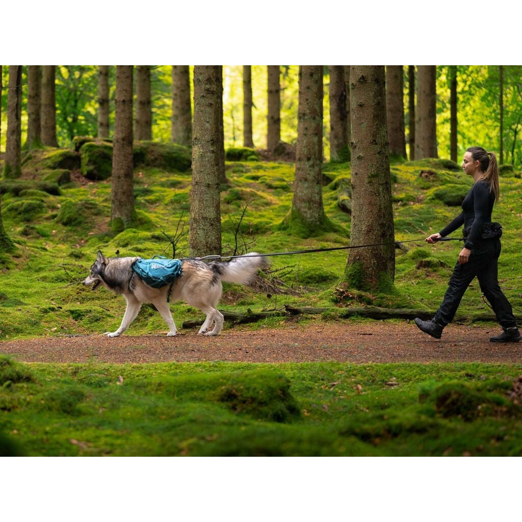 Non-stop dogwear Trail Quest Dog Backpack
