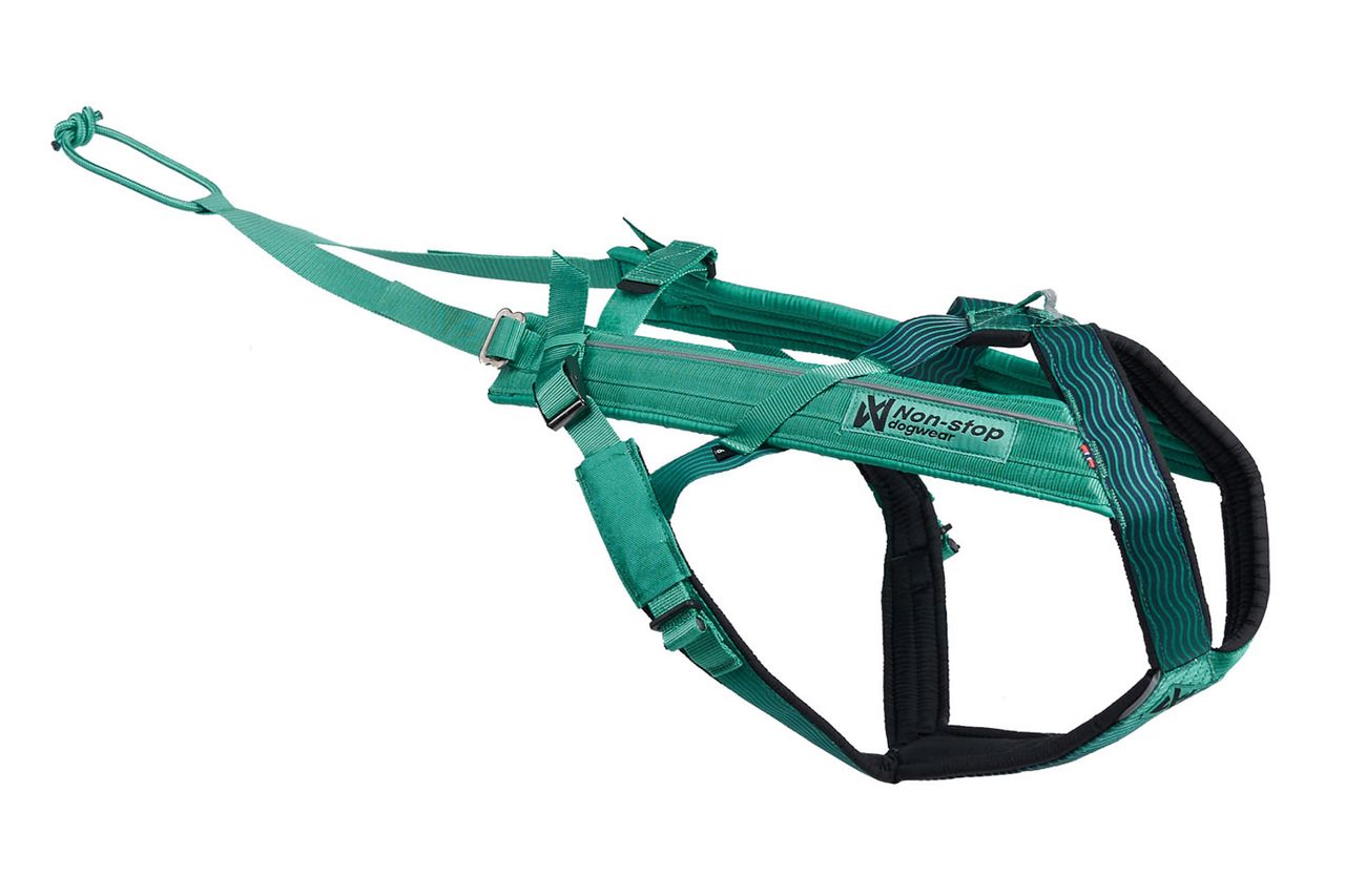non-stop_dogwear_freemotion_5.0_pulling_harness_canicross_harness_aqua_traildog