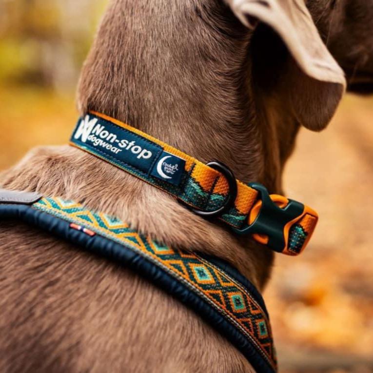 Non-stop dogwear Trail Quest Collar Rachel Pohl