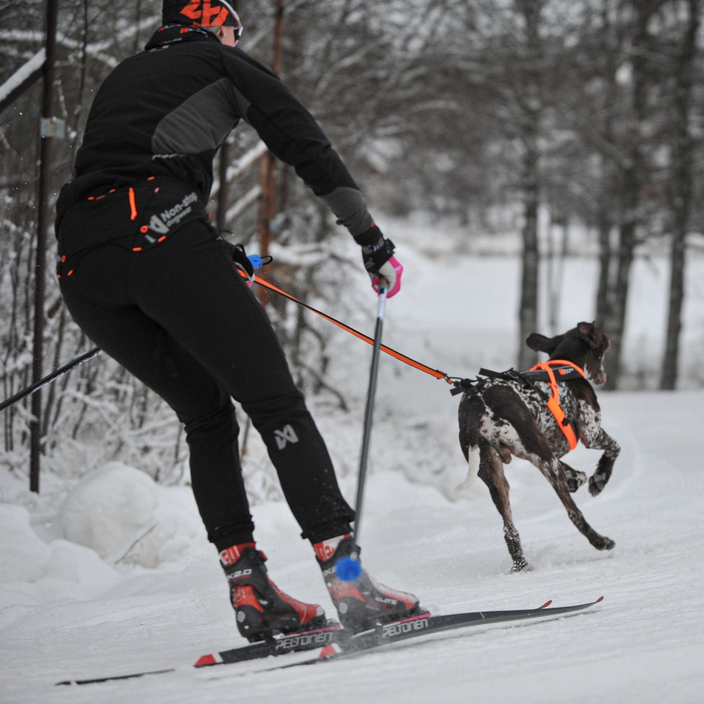 Non-stop dogwear Loype Belt Pro