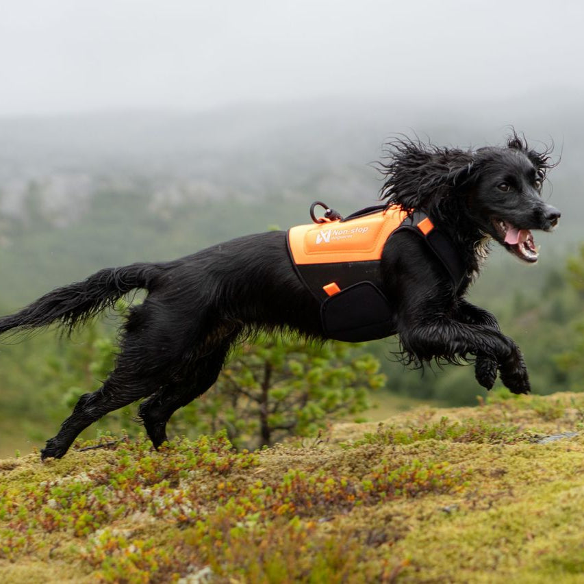 Non-stop dogwear Protector Neoprene Vest