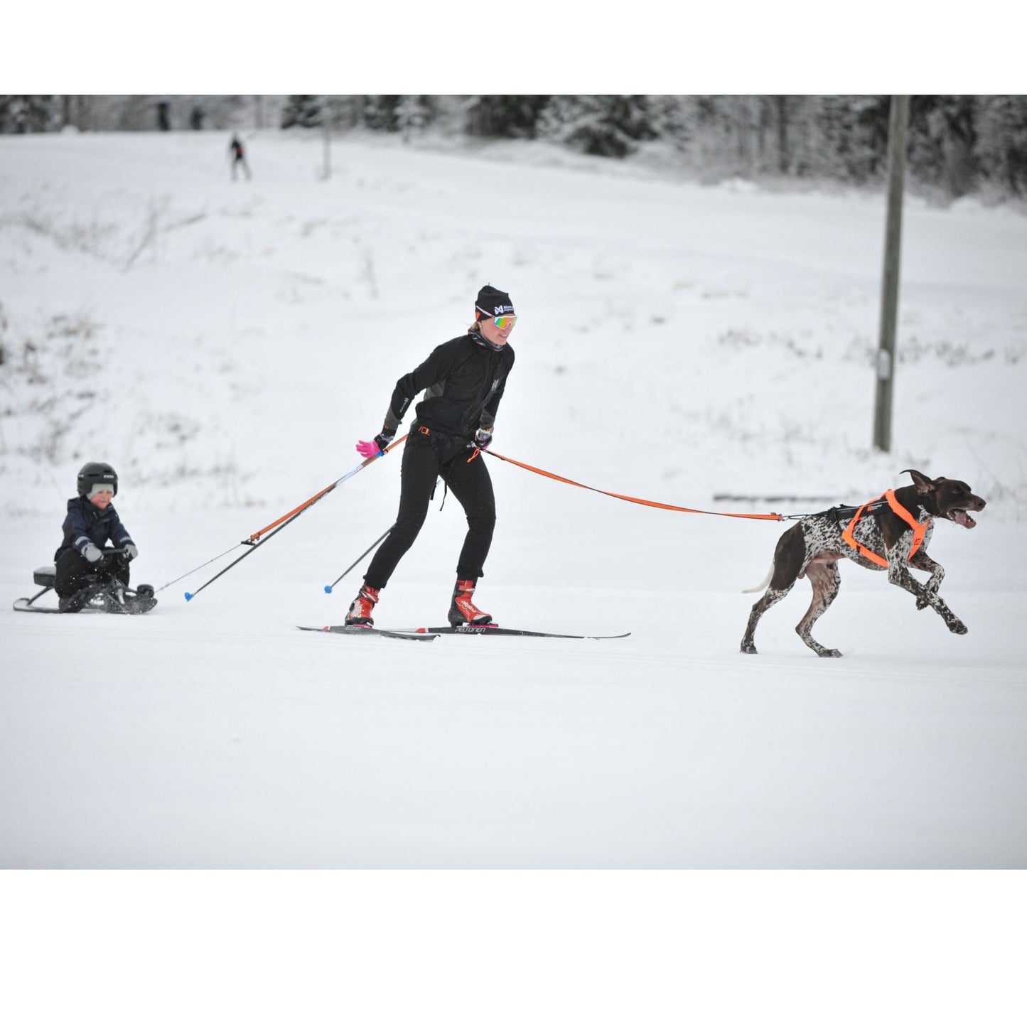 Non-stop dogwear Loype Belt Pro