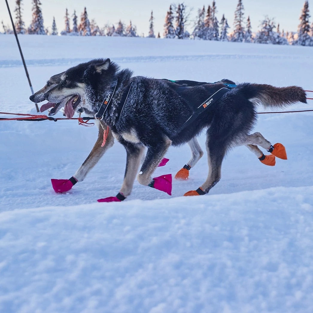 Non-stop dogwear Polar Collar
