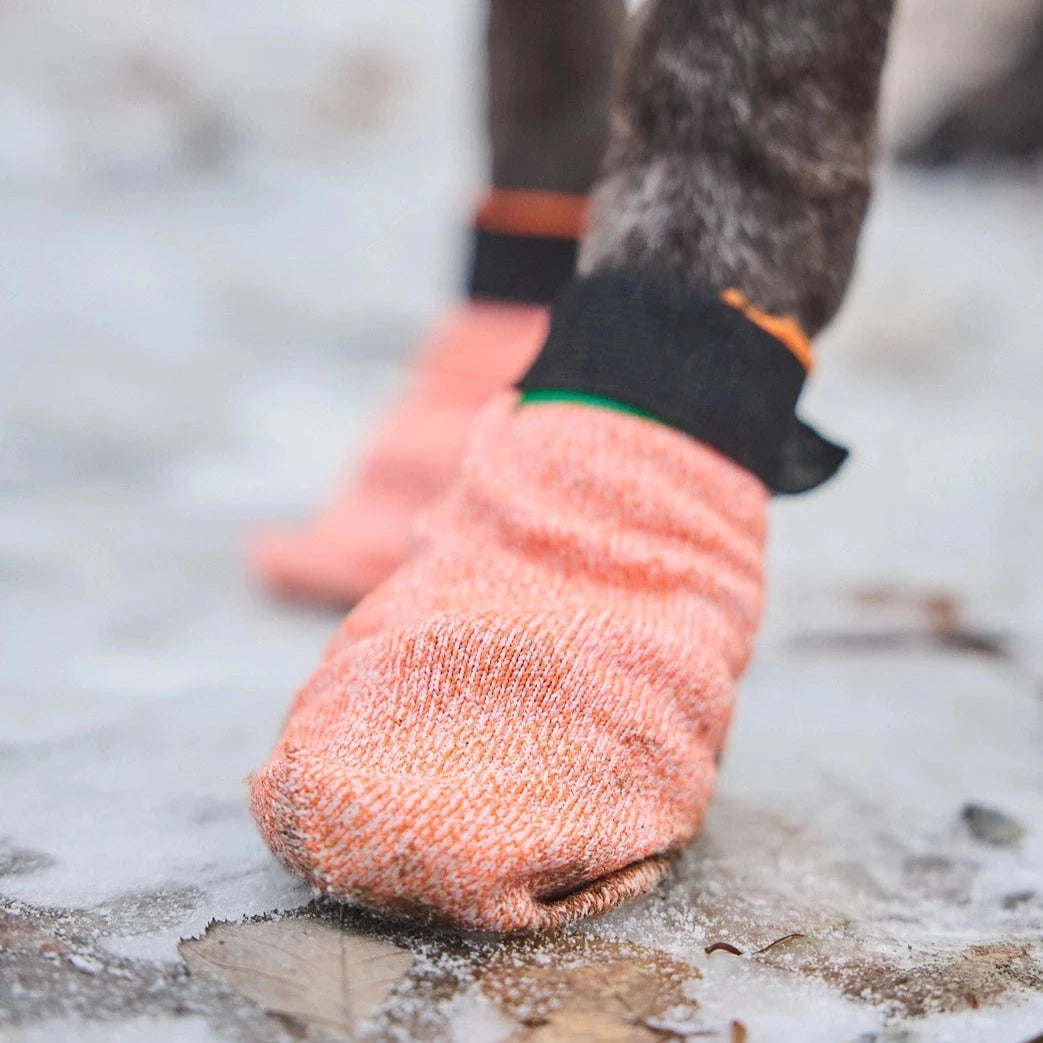 Non-stop dogwear Protector Light Socks, 4 kpl