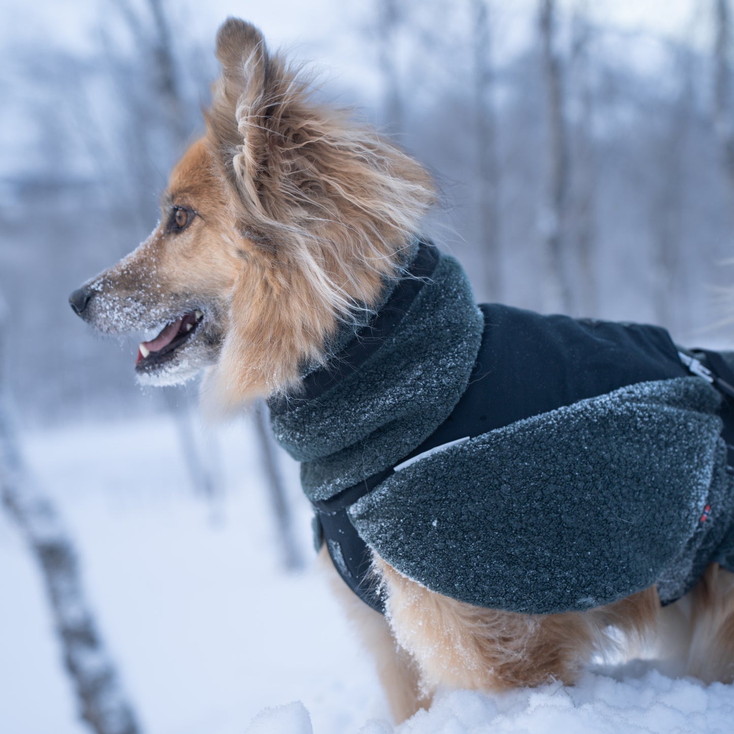 Non-stop dogwear Wool Dog Jacket