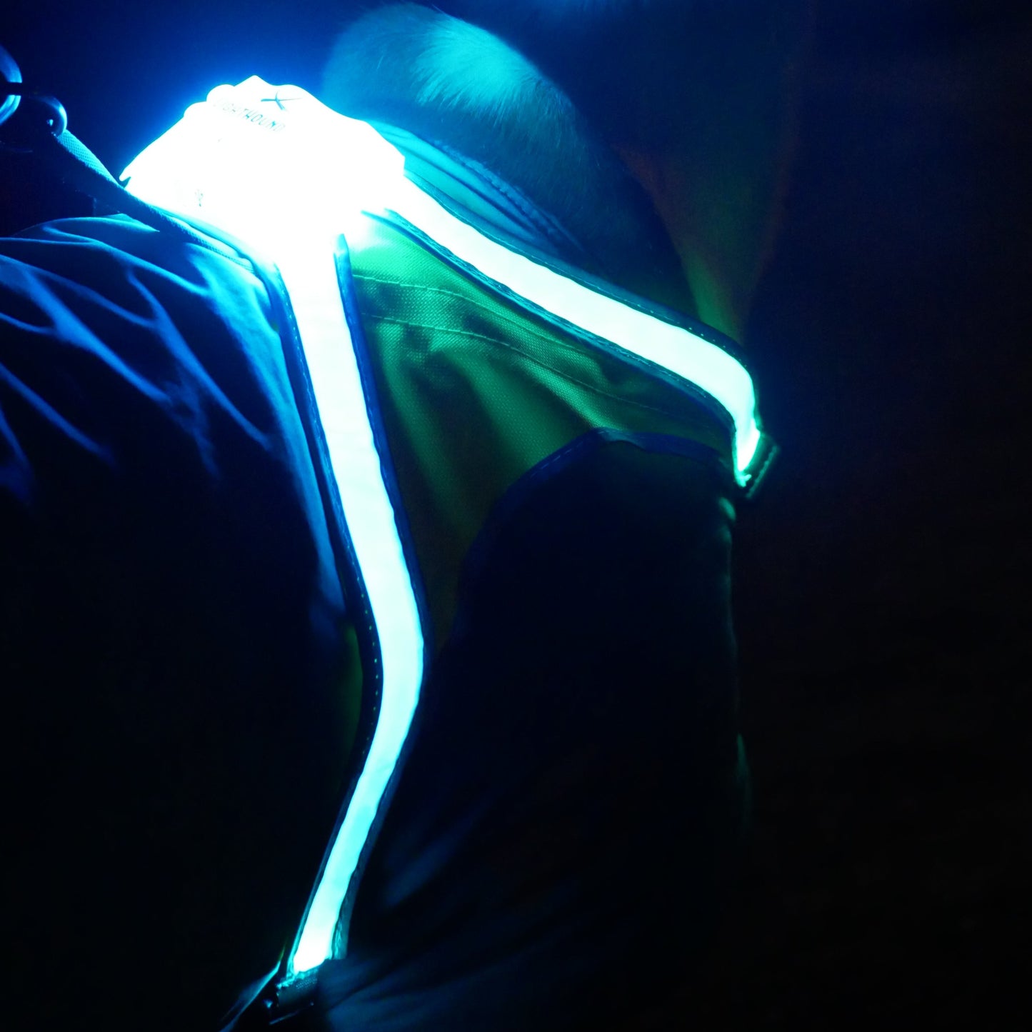 Noxgear Lighthound
