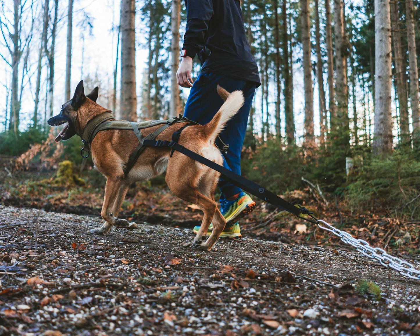 Non-stop dogwear Freemotion Harness WD