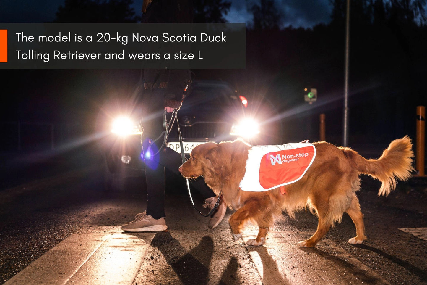 Non-stop dogwear Reflection Blanket OUTLET