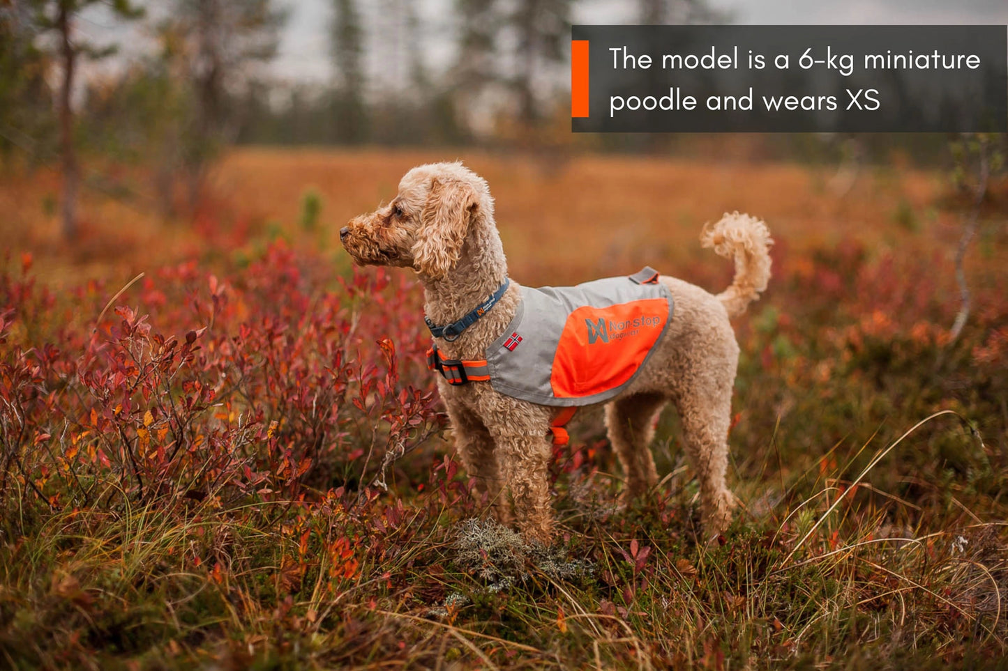 Non-stop dogwear Reflection Blanket OUTLET