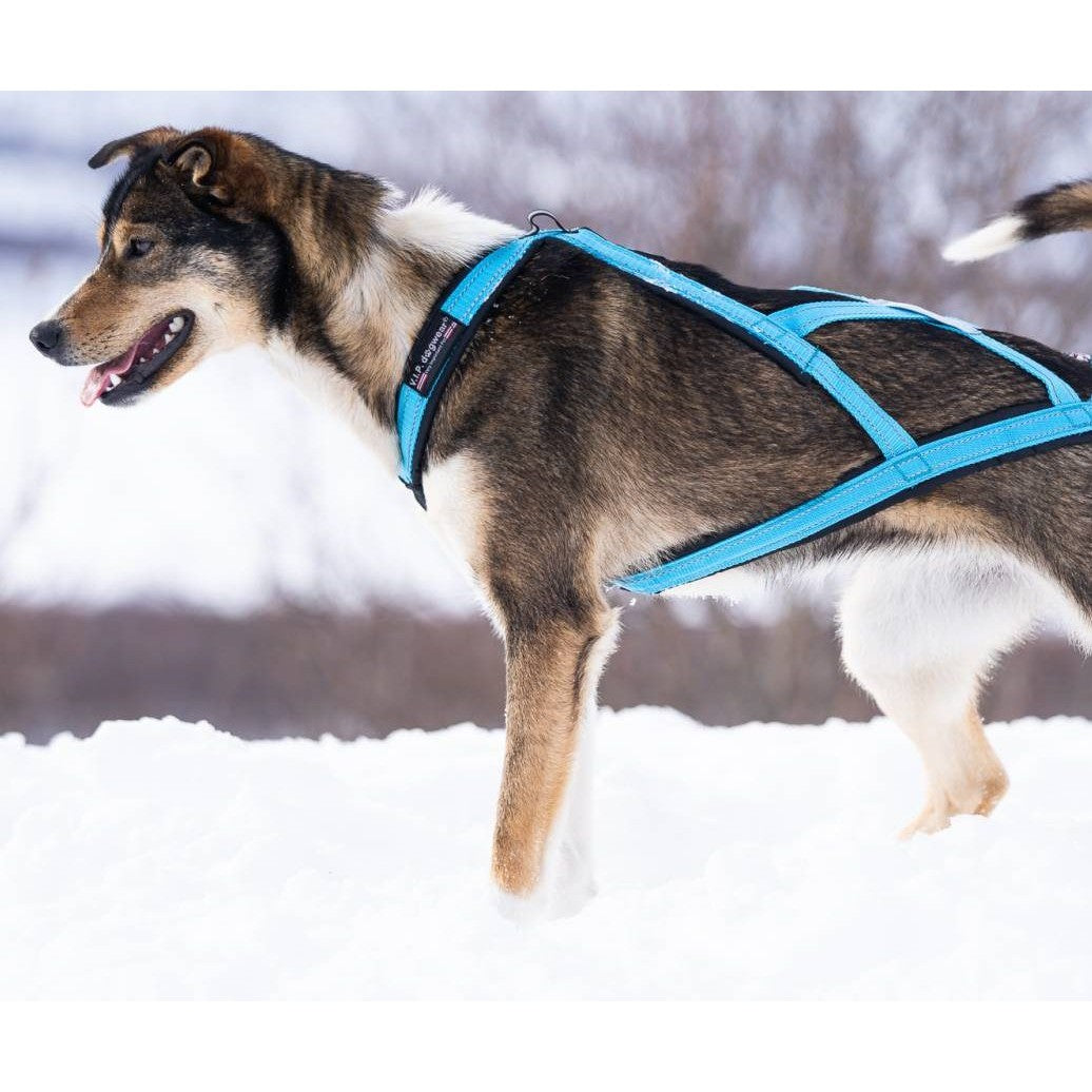 V.I.P. dogwear X-Harness