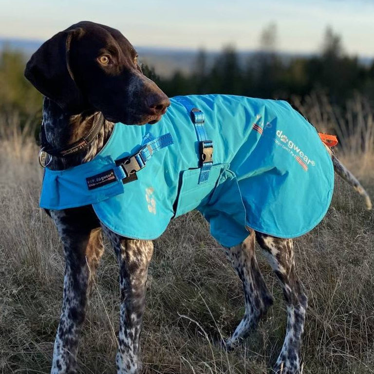 V.I.P. Fast Track Cover