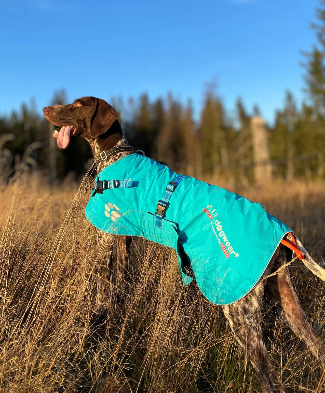 V.I.P. Fast Track Cover