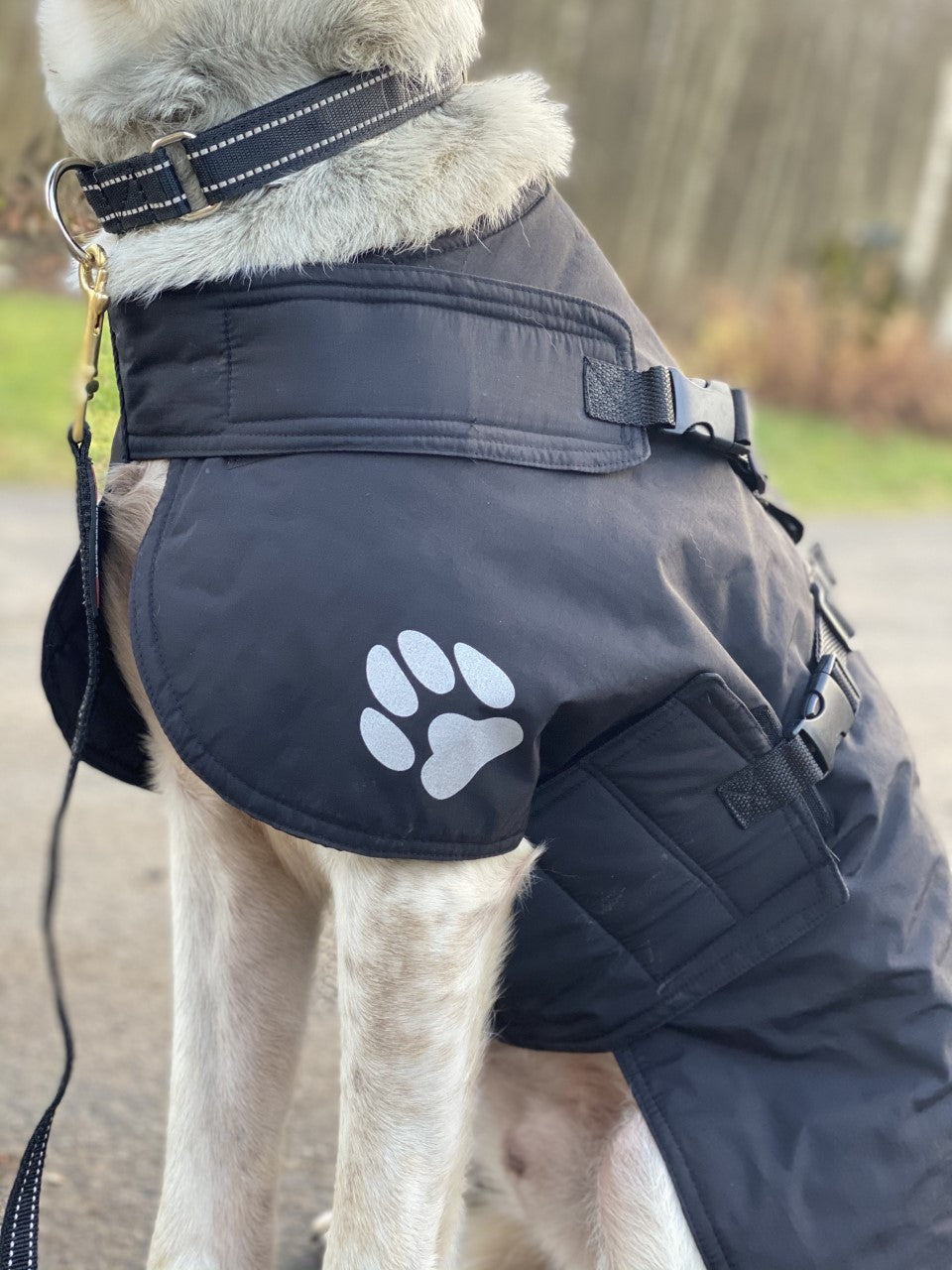 V.I.P. Fast Track Cover