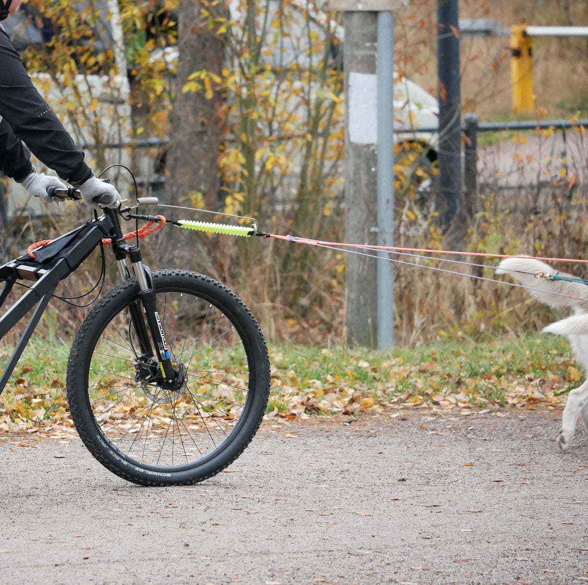 WAW Sport jousto