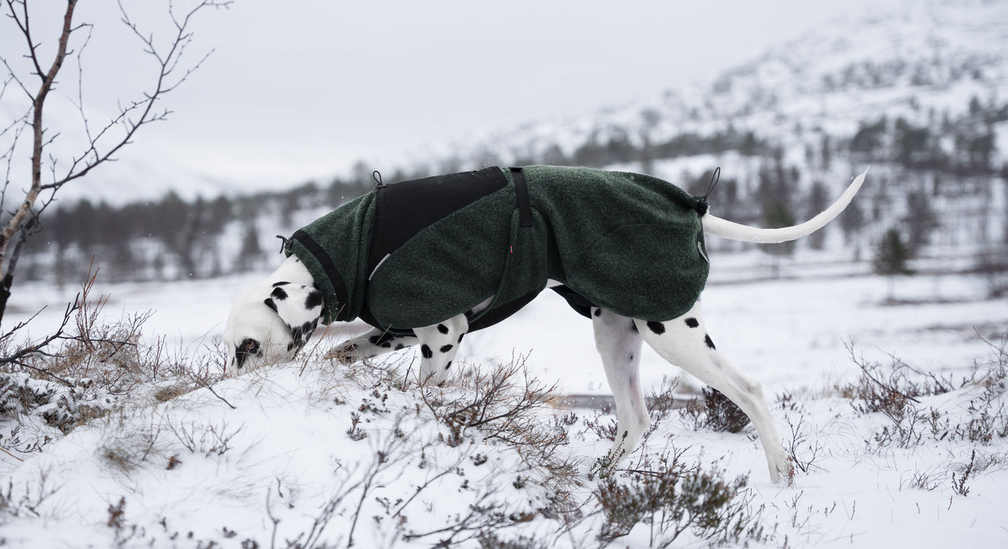 Non-stop dogwear Wool Dog Jacket