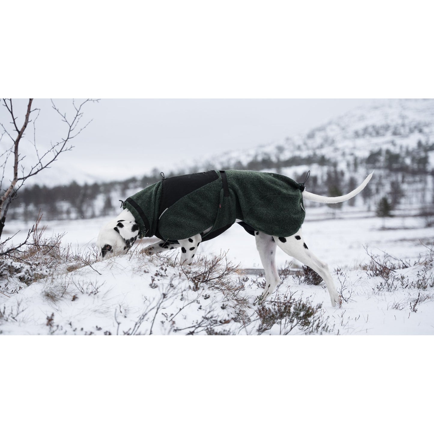 Non-stop dogwear Wool Dog Jacket