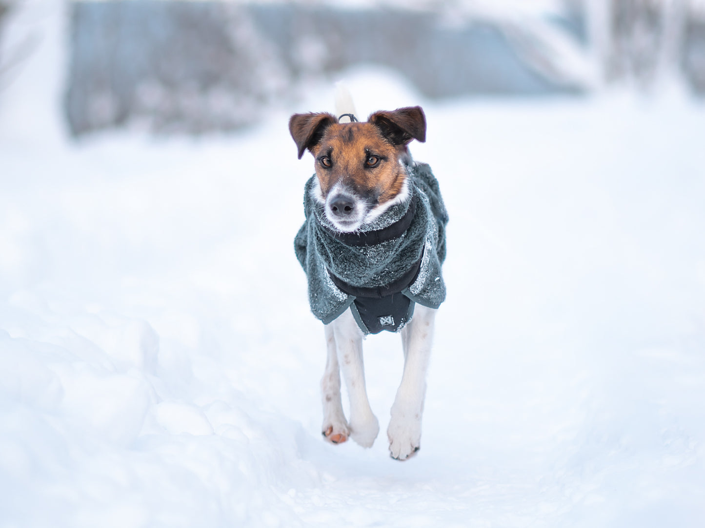 Non-stop dogwear Wool Dog Jacket