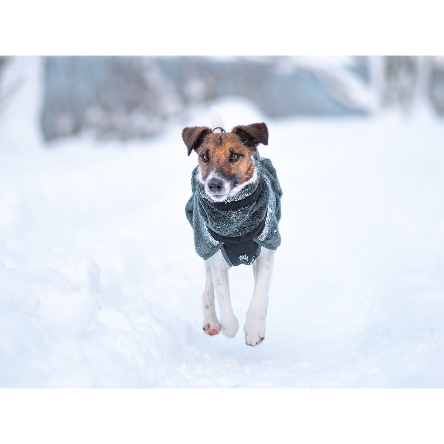 Non-stop dogwear Wool Dog Jacket