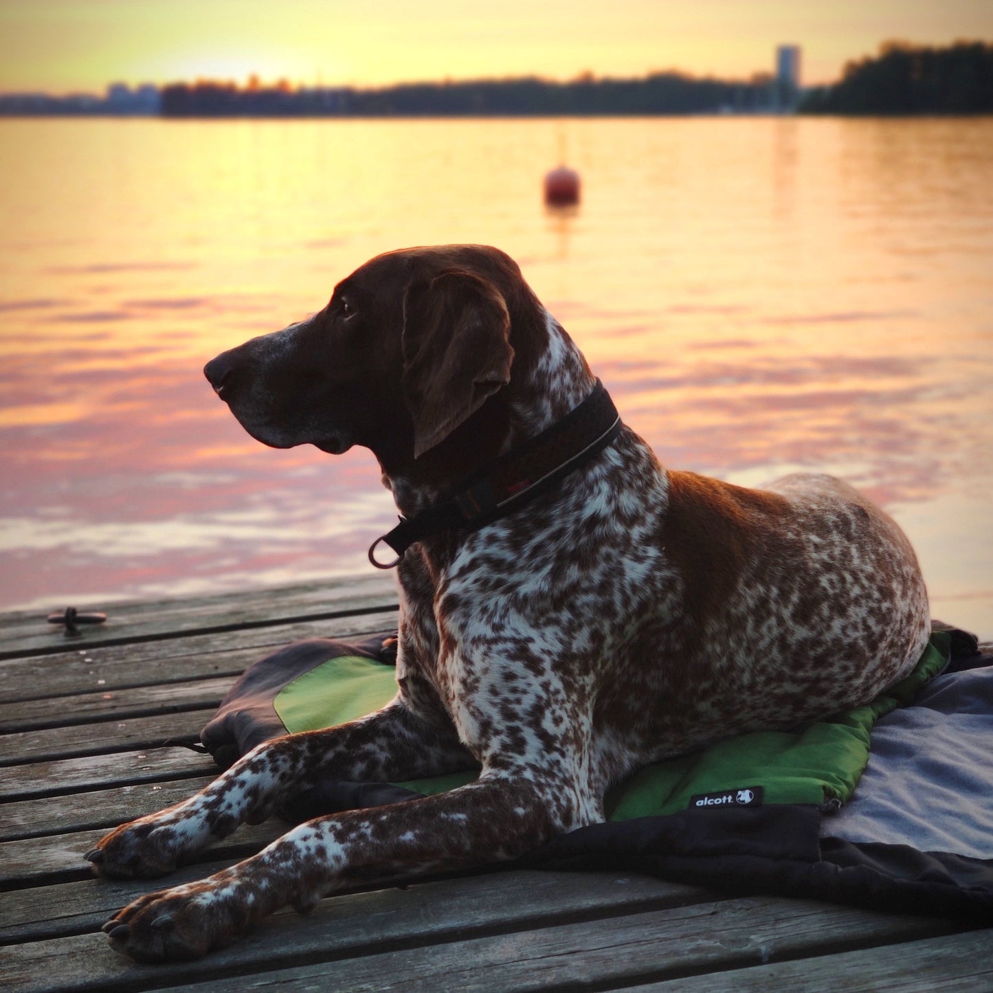 Alcott Adventures Explorer Sleeping Bag