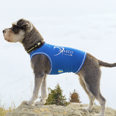 Axaeco All-Rounder Vest