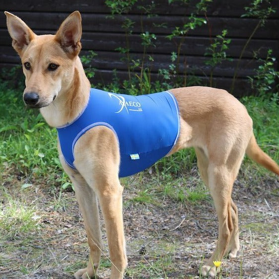 Axaeco All-Rounder Vest