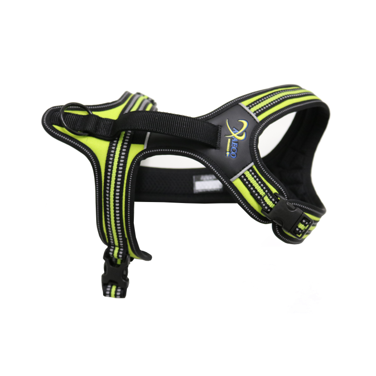 Axaeco 4 Season Power Harness