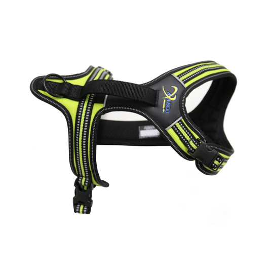 Axaeco 4 Season Power Harness