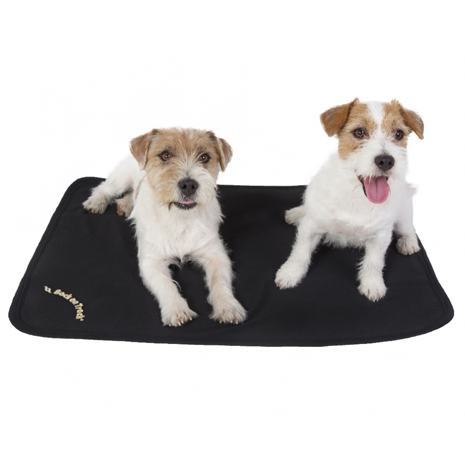 Back on Track Sleeping pad smooth